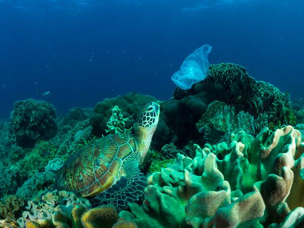 Oceana dénonce la pollution du plastique