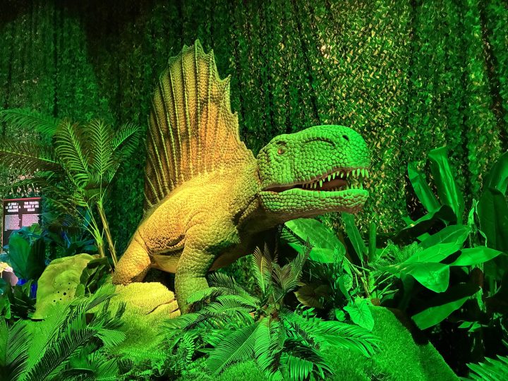 Deux mondes à explorer en famille à Montréal : bulles magiques ou dinos géants, que choisirez-vous ?