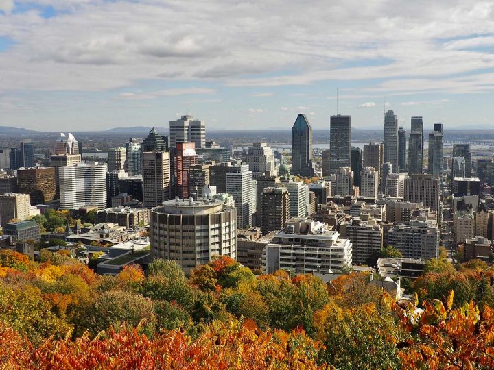 Des activités gratuites ou à petit budget